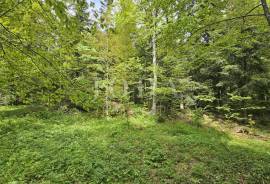 Bribirska šuma teren na prodaju, 2960 , Vinodolska Općina